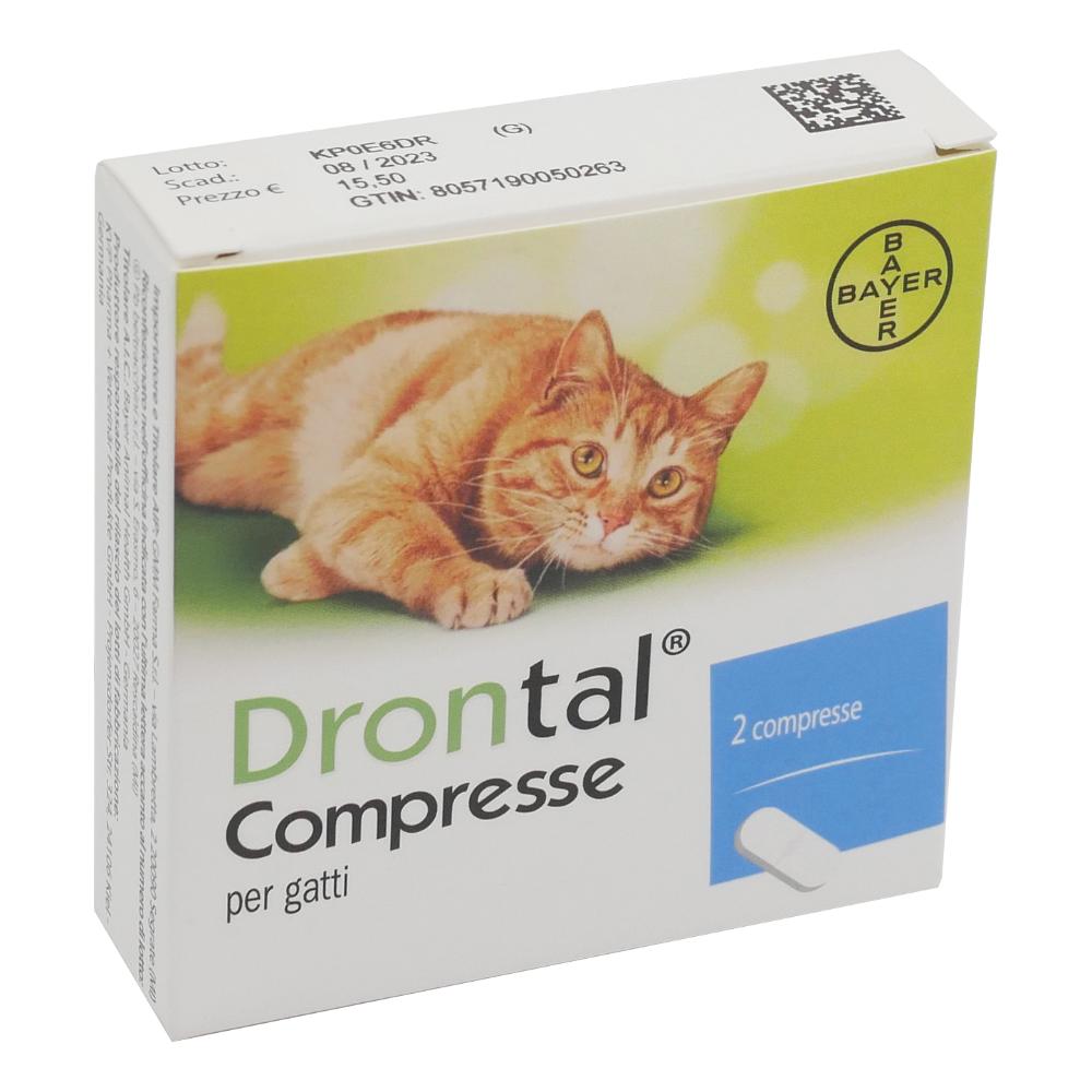 Drontal Gatto: Antielmintico ad ampio spettro per parassiti
